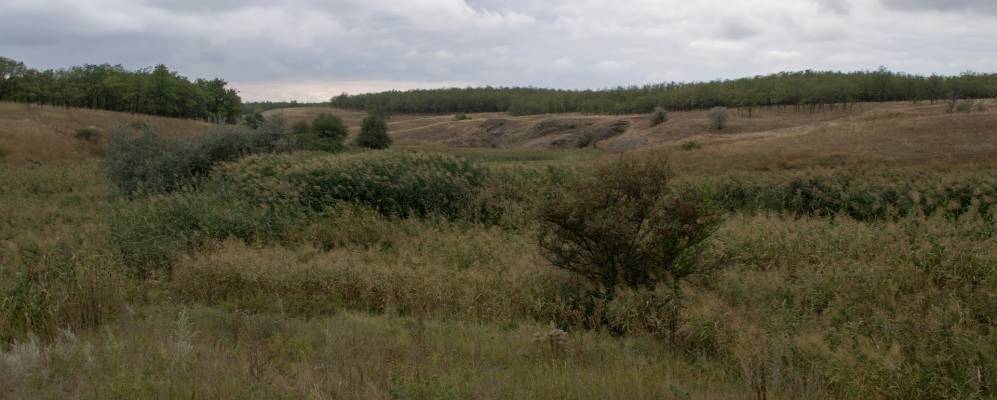Старченково. Село старченково старченковский садик. Погода старченково донецкая область володарский. Погода старченково донецкая область володарский. Село старченково донецкая область.