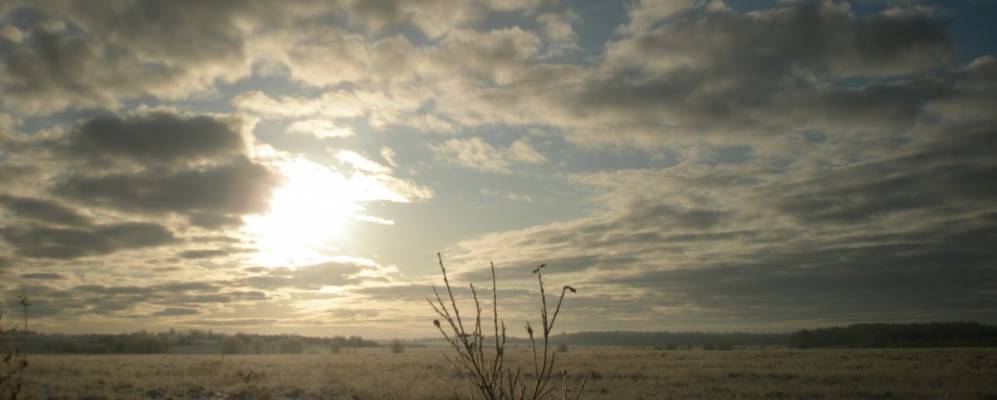 
            Фотография Заринского