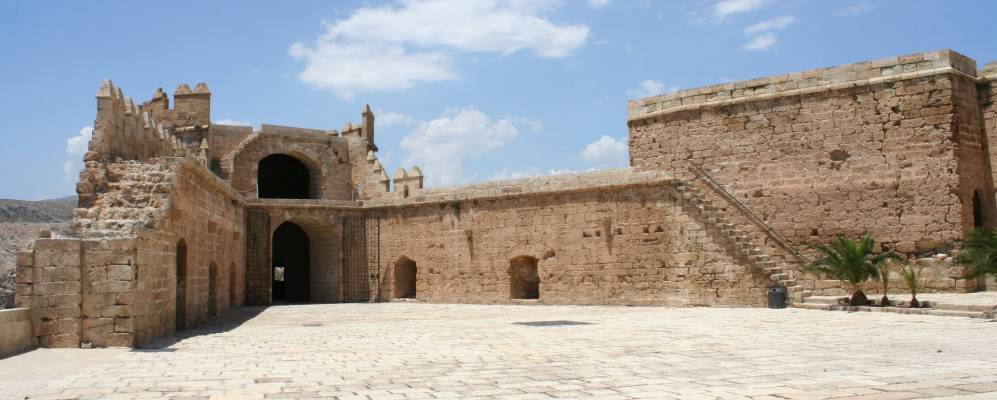 
            Фотография Виатора