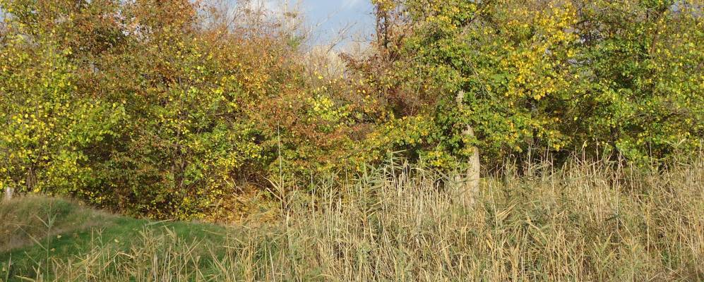 
            Фотография Восьмое Марта