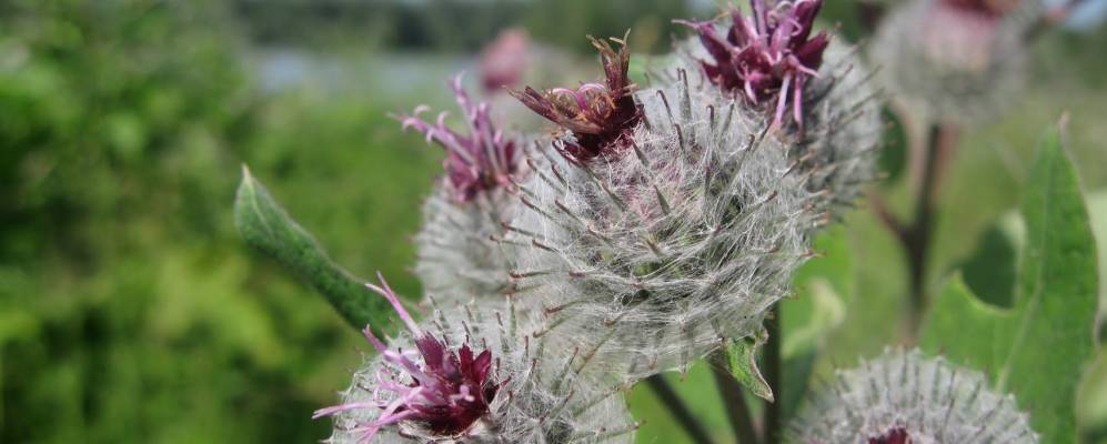 
            Фотография Нагорного
