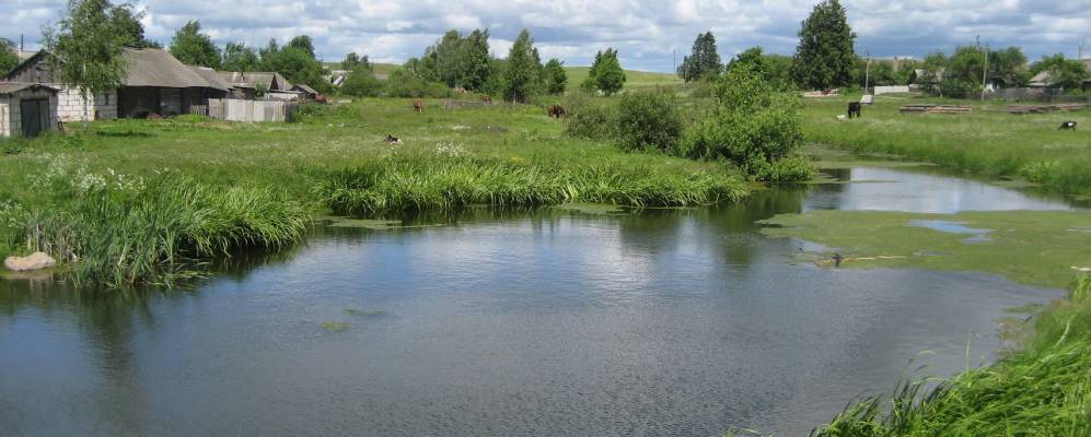 
            Фотография Стопурево