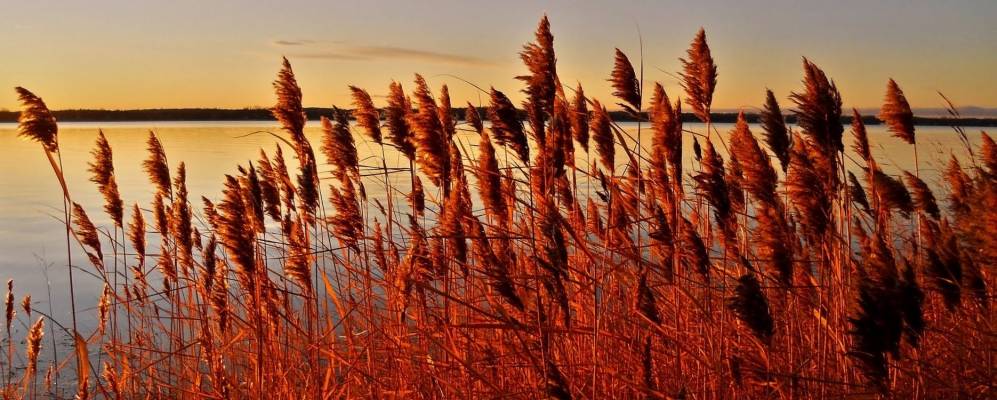 
            Фотография Деукс-Монтэйгнса