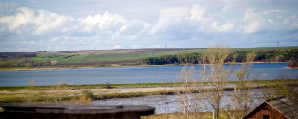 
            Фотография Маневого