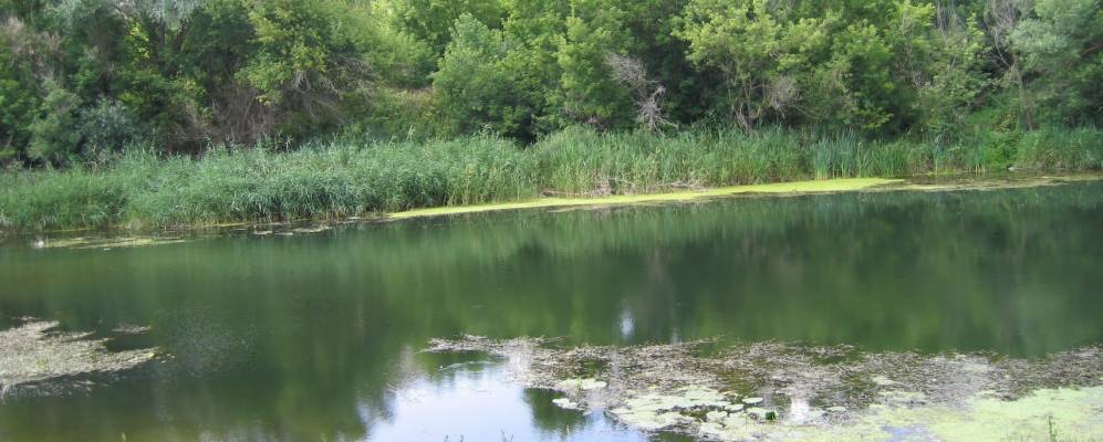 
            Фотография Заброды