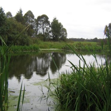 Ястребовка