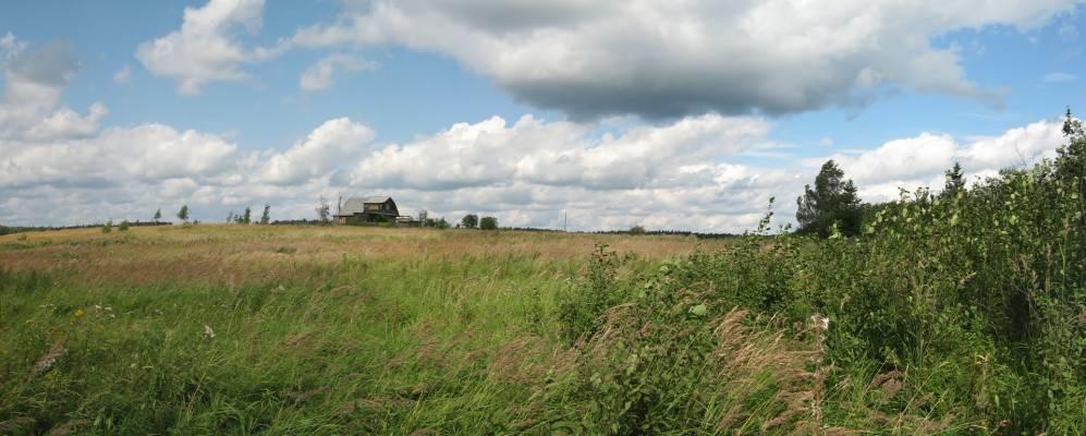 
            Фотография Филипповского