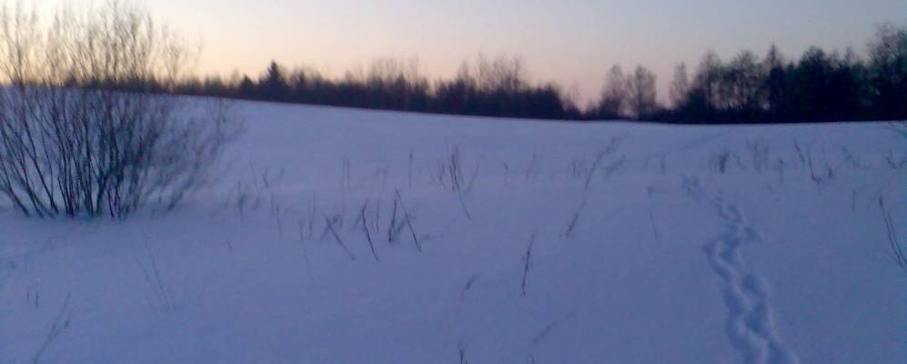 
            Фотография Белой Дубровы