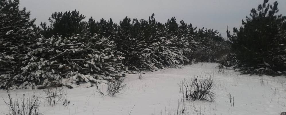 Фотография Краснолучского