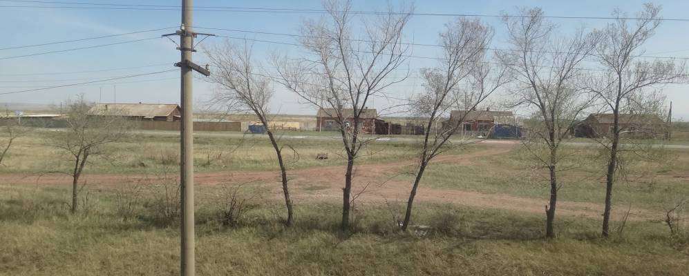 
            Фотография Троякова