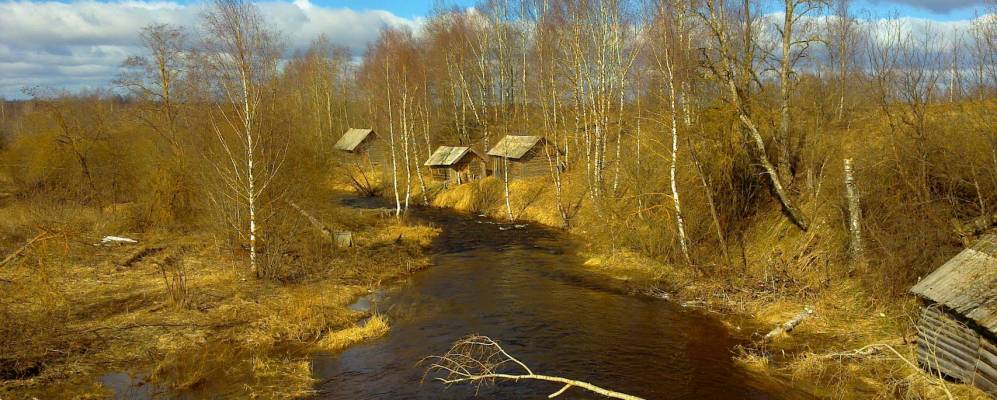 
            Фотография Проймачевской