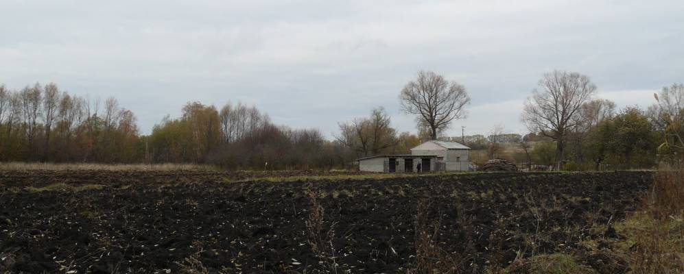 
            Фотография Мамоново