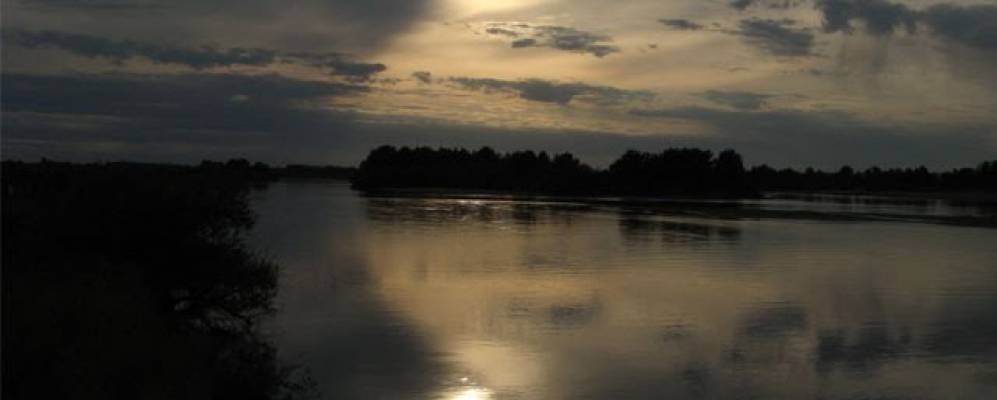 
            Фотография Круглого