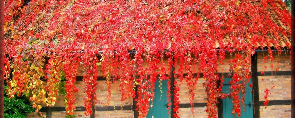 
            Фотография Зудербурга