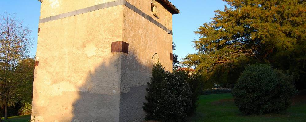 
            Фотография Вертьязона