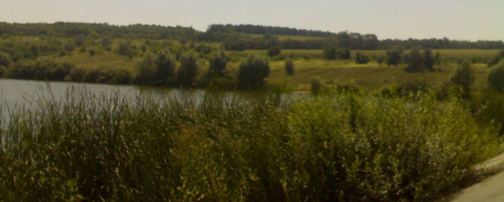 
            Фотография Троицкого