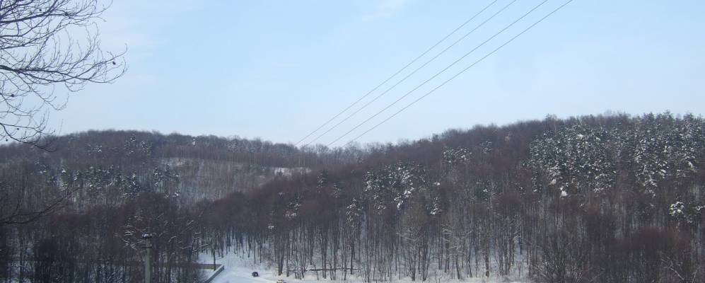 
            Фотография Липники