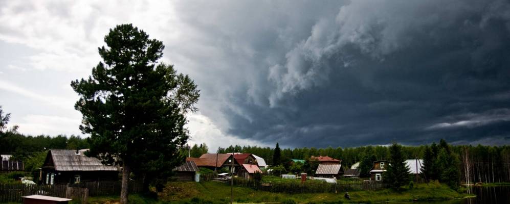 Фотография Мошней