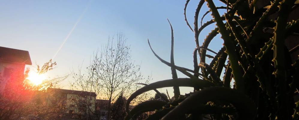 
            Фотография Сульбьате