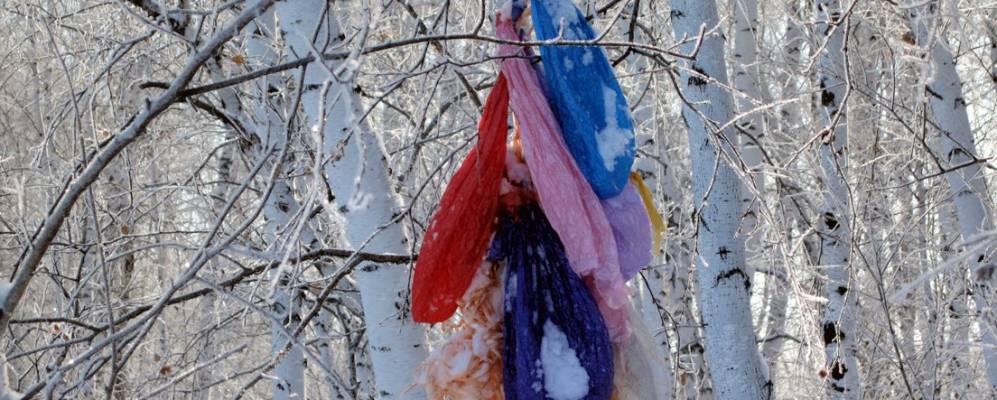 
            Фотография Малого Приютного