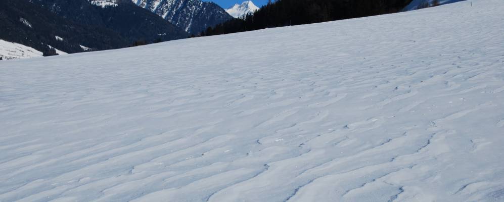 
            Фотография Лутаго