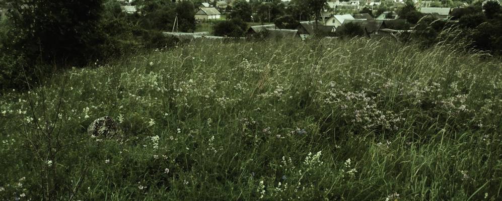 Фотография Дубовки