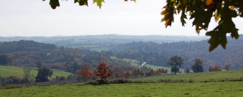 
            Фотография Буасёйя