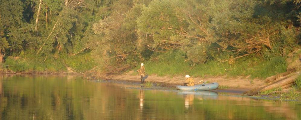 Фотография Шильцево
