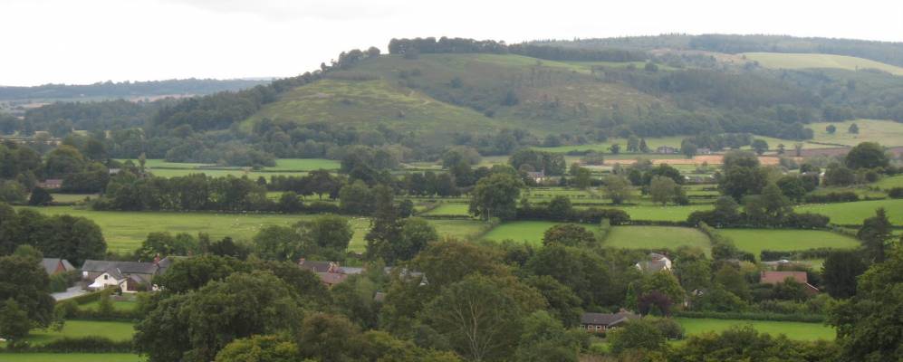 
            Фотография Бакнелл