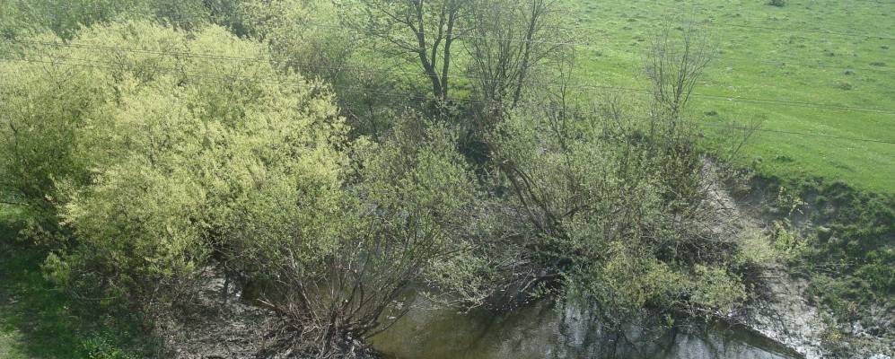 
            Фотография Шевченко