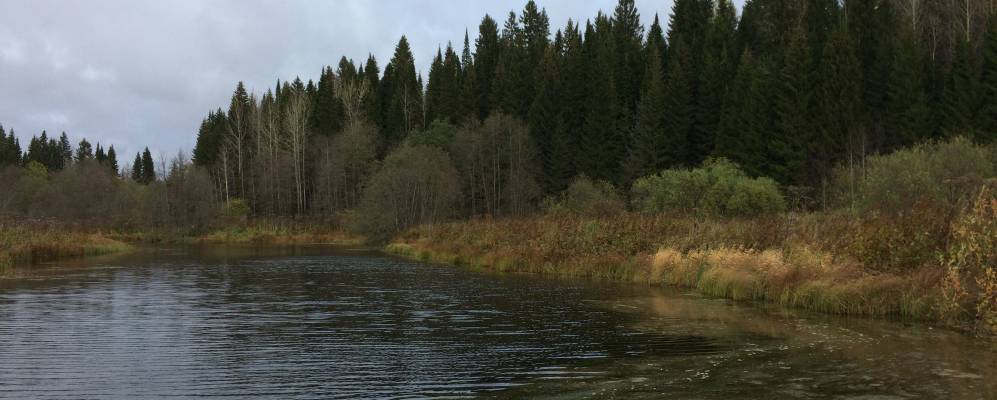 
            Фотография Жаково