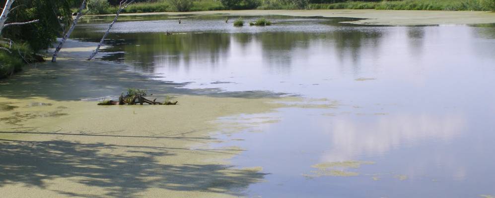 
            Фотография Нащеково