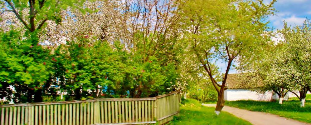 
            Фотография Браного Поля