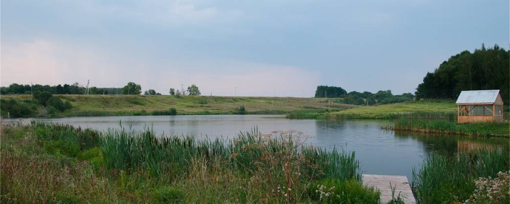 
            Фотография Бояринцево