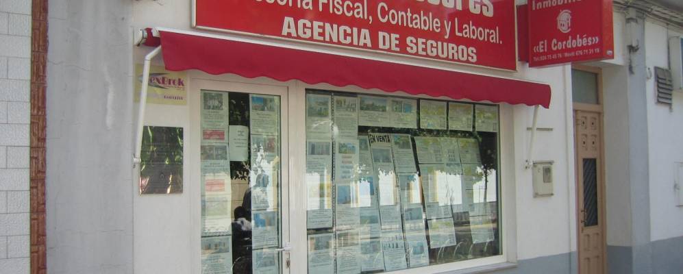 
            Фотография Олива-де-ла-Фронтера