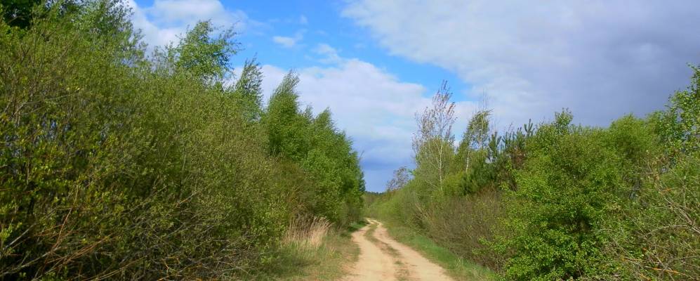 
            Фотография деревни Новики