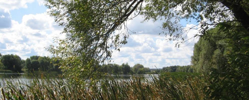 
            Фотография Спасского