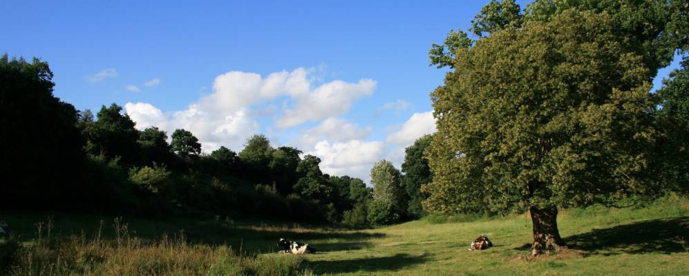 
            Фотография Конд-сюр-Вира