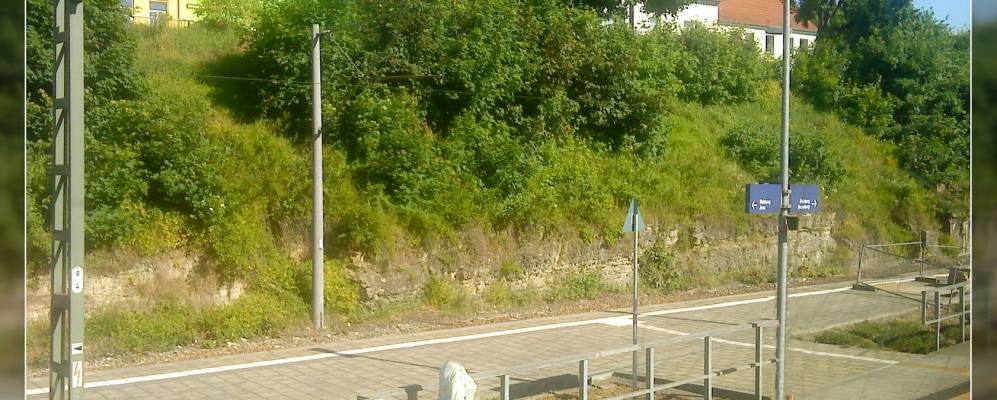 
            Фотография Камбурга