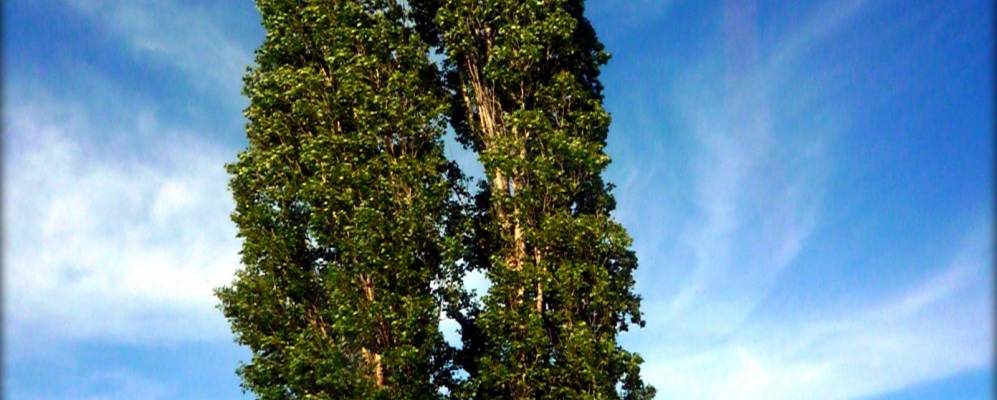 
            Фотография Межевихина