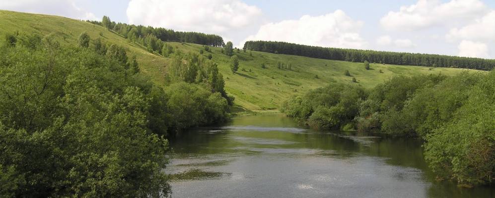 Фотография Комарово