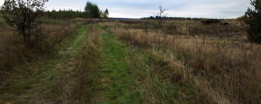 Фотография Тарасовки