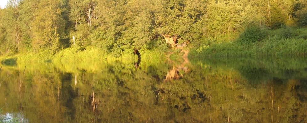 
            Фотография Ефремково