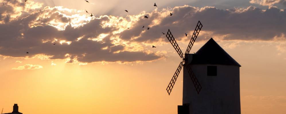 
            Фотография Маора