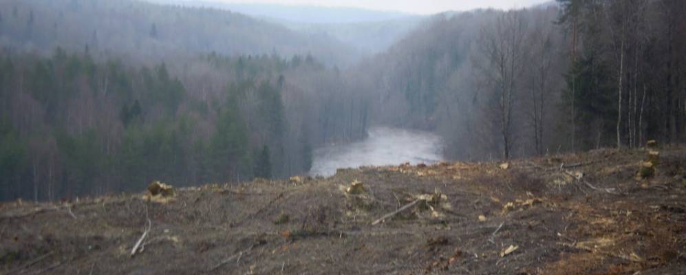 
            Фотография Ратигоры