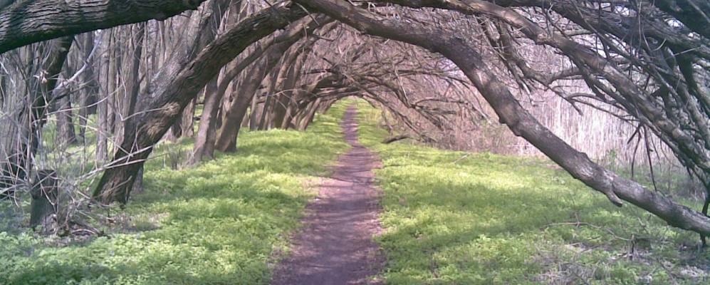 Фотография Вольного