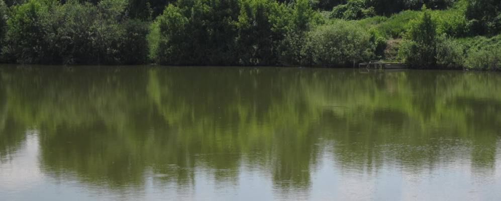 
            Фотография Новоникольского