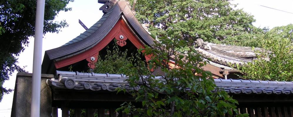 
            Фотография Яо