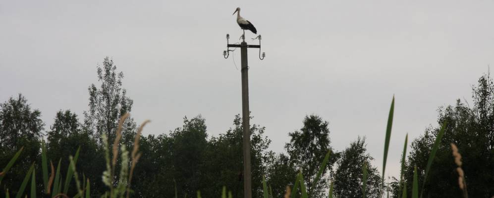 
            Фотография Спасской Полисти