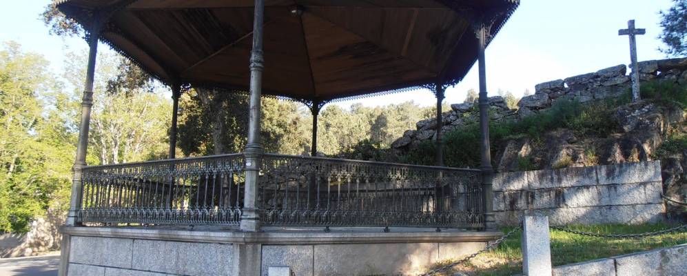 
            Фотография Арбо